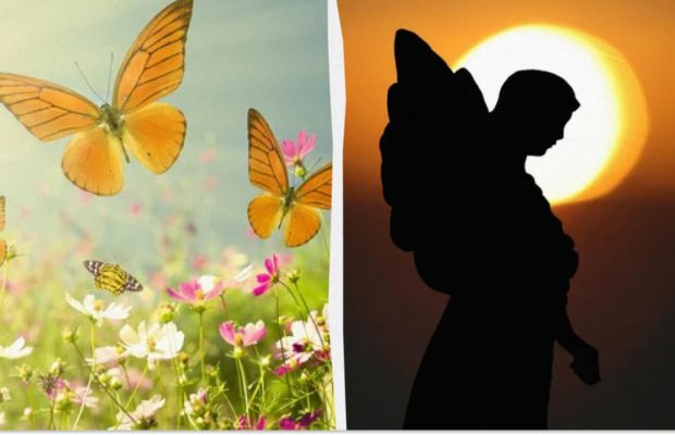 Кто ваш ангел-хранитель и икона заступница, если день рождения летом: полный список