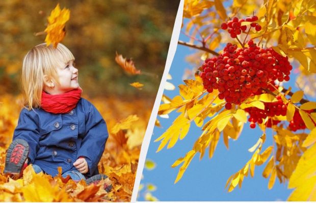 Что можно и что нельзя делать 16 ноября 2024: обряд для здоровья от наших предков