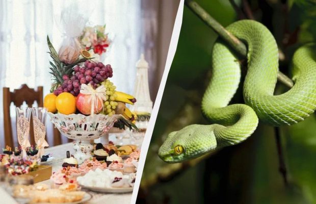 Этих блюд на новогоднем столе 2025 быть не должно: их многие хозяйки готовят каждый год