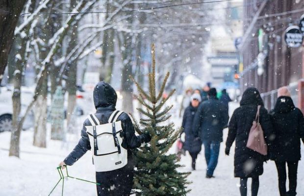 Свята в Україні в грудні 2024: чи будуть додаткові вихідні