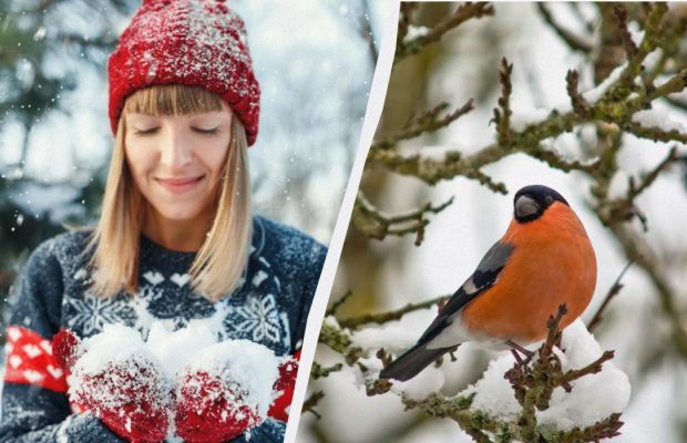 Что нельзя и что нужно сделать 1 декабря: примета для счастья на весь год