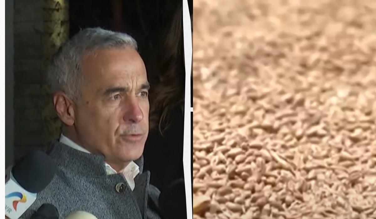 The favorite of the Romanian presidential elections promises to ban the export of Ukrainian grain / UNIAN collage, screenshots