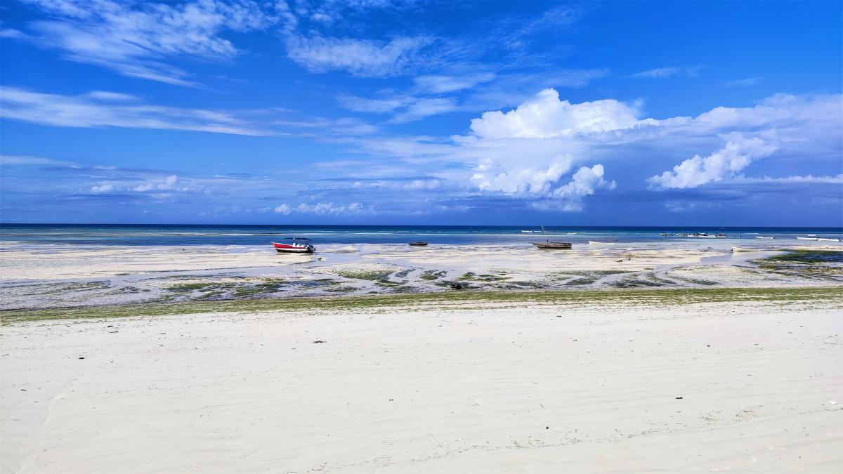 Пляж готелю Mandarin Zanzibar, коли відходить вода / фото Марина Григоренко