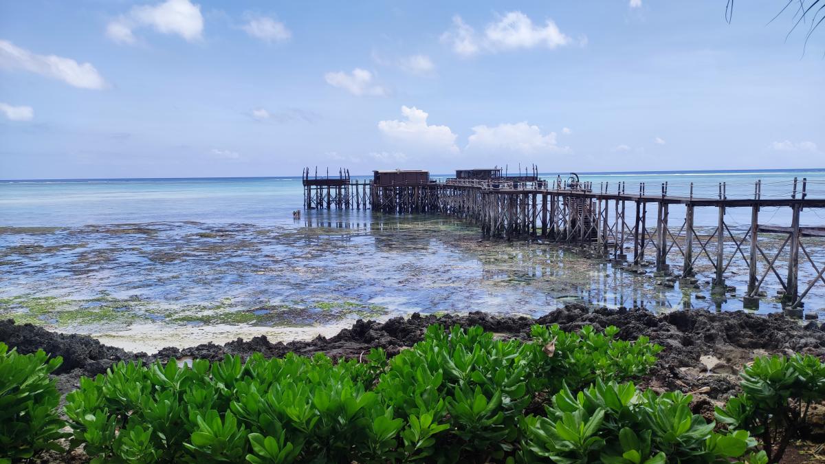 Пірс готелю Essque Zalu Zanzibar всього через пару годин, коли вода починає відходити / фото Марина Григоренко