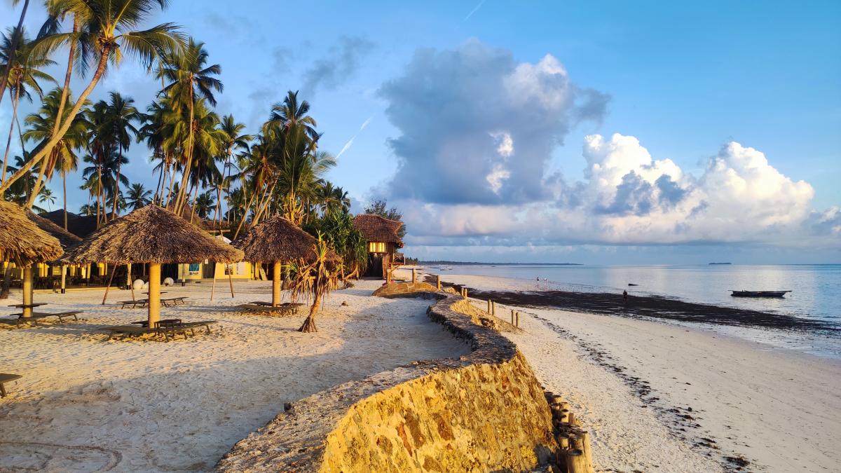 Пляж готелю Tui Blue Bahari Zanzibar / фото Марина Григоренко