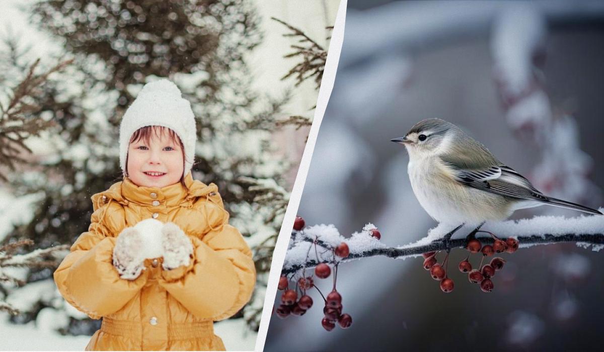 Яке сьогодні свято в Україні / колаж УНІАН, фото ua.depositphotos.com, pixabay Яке сьогодні свято в Україні / колаж УНІАН, фото ua.depositphotos.com, pixabay
