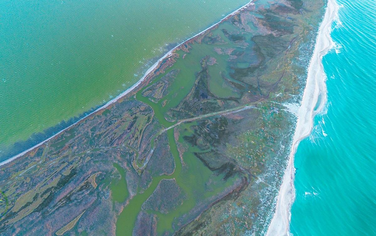 Стан води у Чорному морі на Одещині потроху покращується, стверджує науковець / фото Facebook Івана Русєва Стан води у Чорному морі на Одещині потроху покращується, стверджує науковець / фото Facebook Івана Русєва