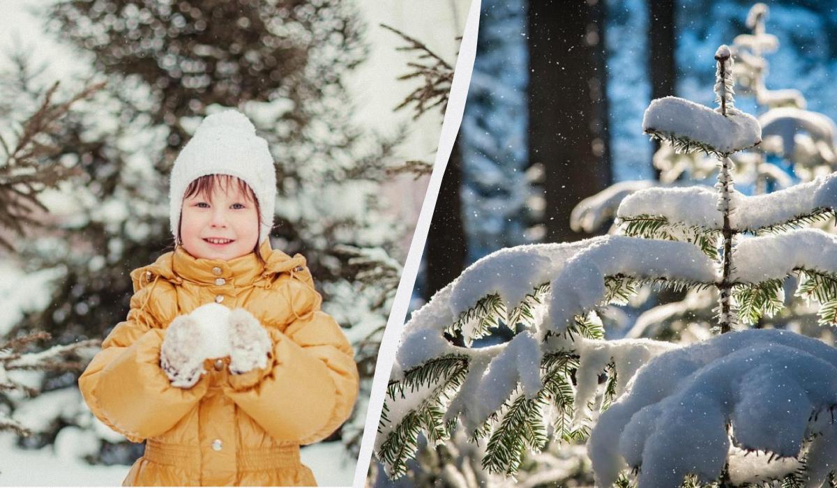 Какой сегодня праздник в Украине / коллаж УНИАН, фото ua.depositphotos.com, pixabay Какой сегодня праздник в Украине / коллаж УНИАН, фото ua.depositphotos.com, pixabay