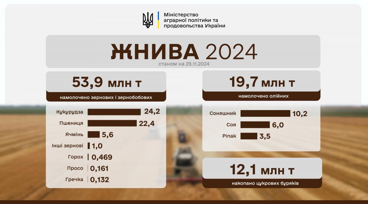 Жнива-2024 за підрахунками профільного міністерства – відтепер головною аграрною культурою для нас є кукурудза, чому сприяє зміна клімату / Дані: Мінагрополітики
