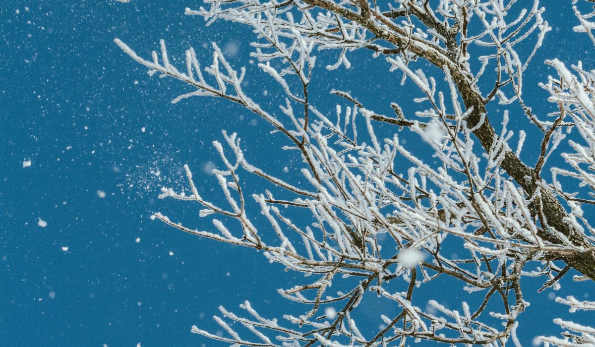 14 січня замети в Україні стануть ще більшими: де сніжитиме