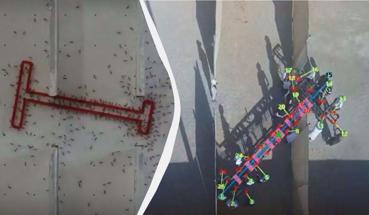 Ці лабіринти відрізнялися лише розмірами, щоб відповідати розмірам мурах і людей / колаж УНІАН, скриншоти Ці лабіринти відрізнялися лише розмірами, щоб відповідати розмірам мурах і людей / колаж УНІАН, скриншоти