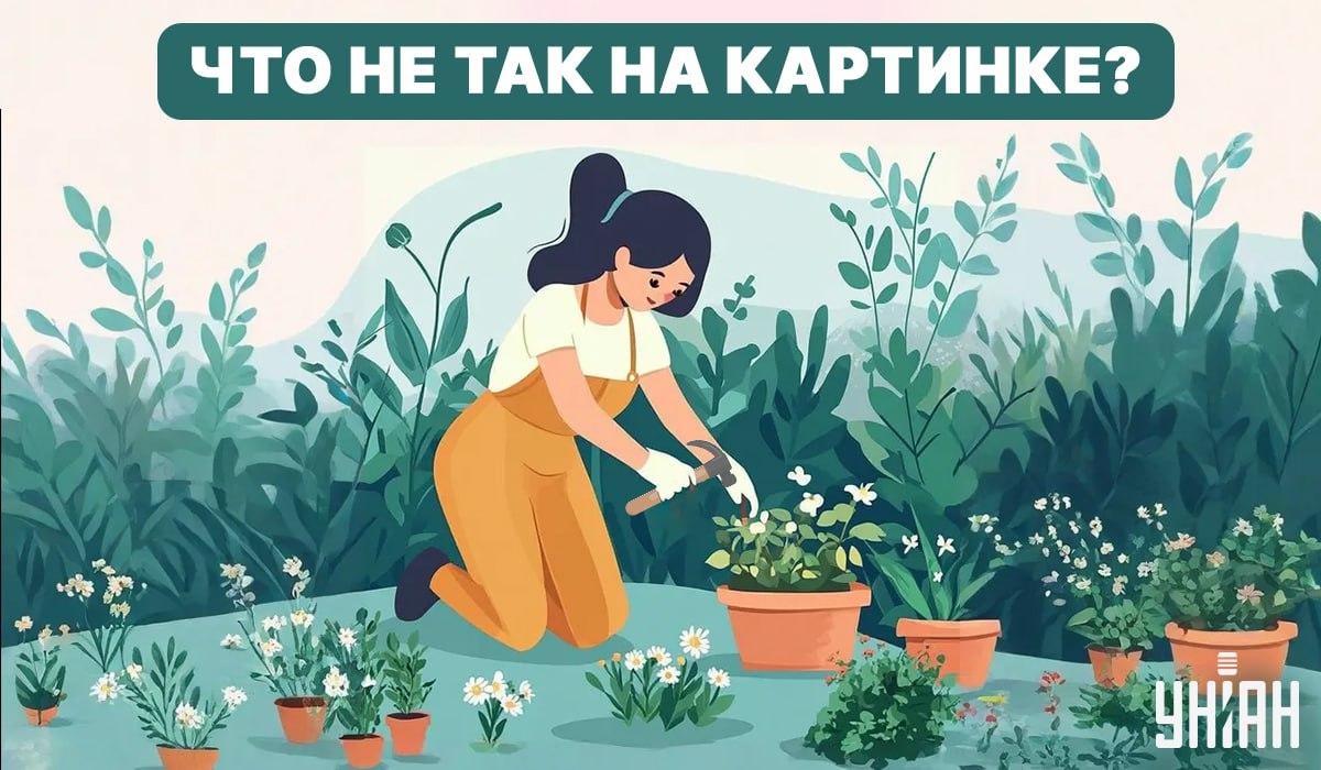 Попробуйте найти ошибку / Коллаж - УНИАН Попробуйте найти ошибку / Коллаж - УНИАН