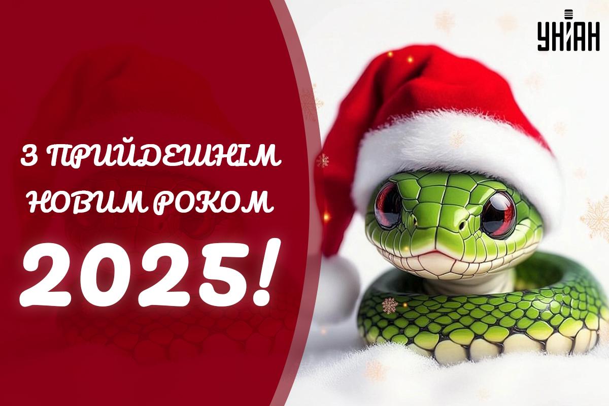 Картинки с наступающим Новым годом / картинка УНИАН Картинки с наступающим Новым годом / картинка УНИАН