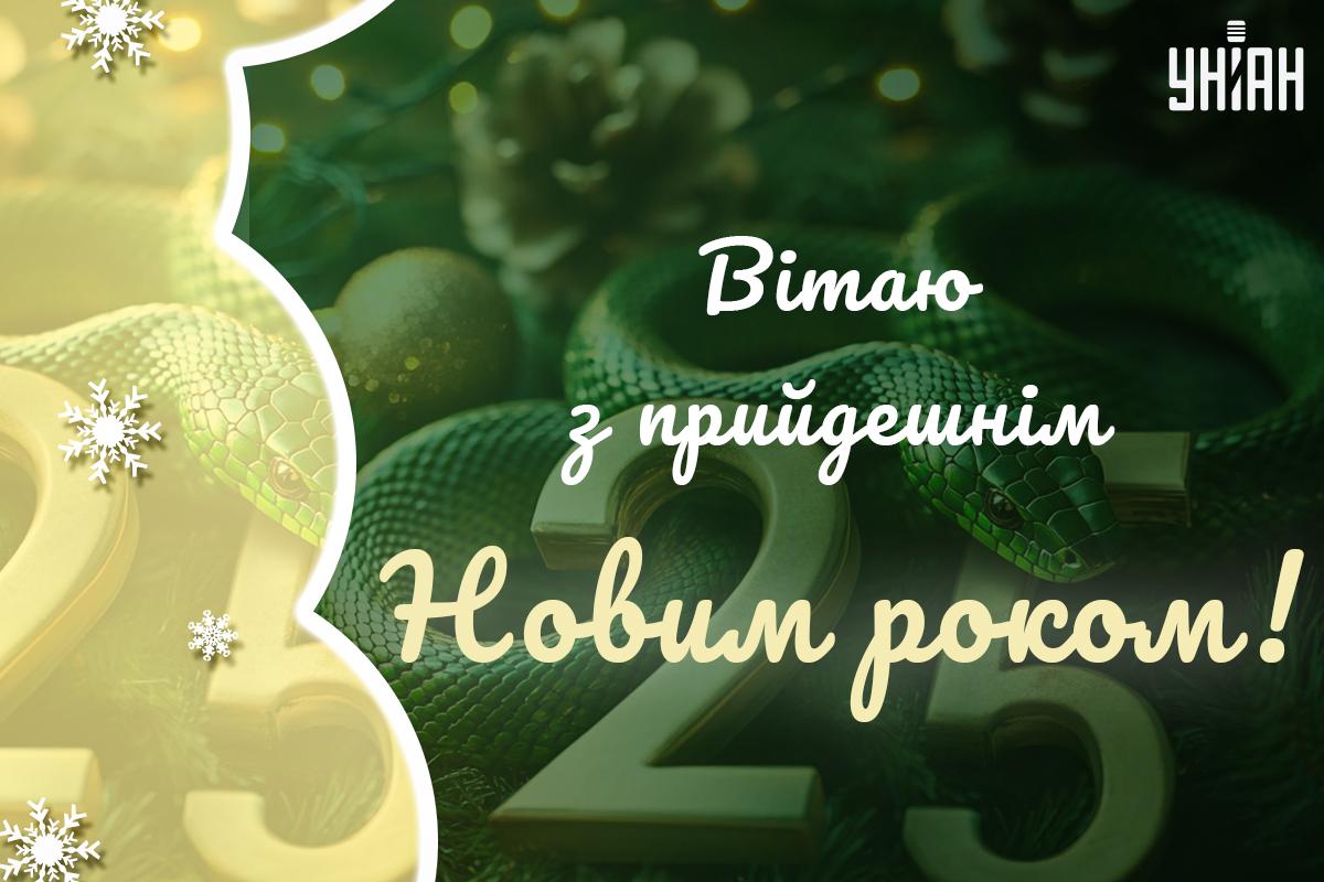 З прийдешнім Новим роком 2025 / картинка УНІАН З прийдешнім Новим роком 2025 / картинка УНІАН