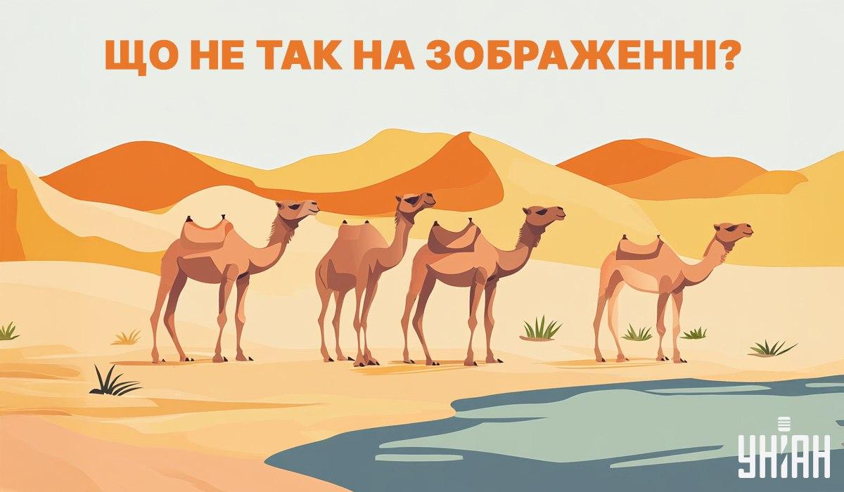 колаж УНІАН колаж УНІАН