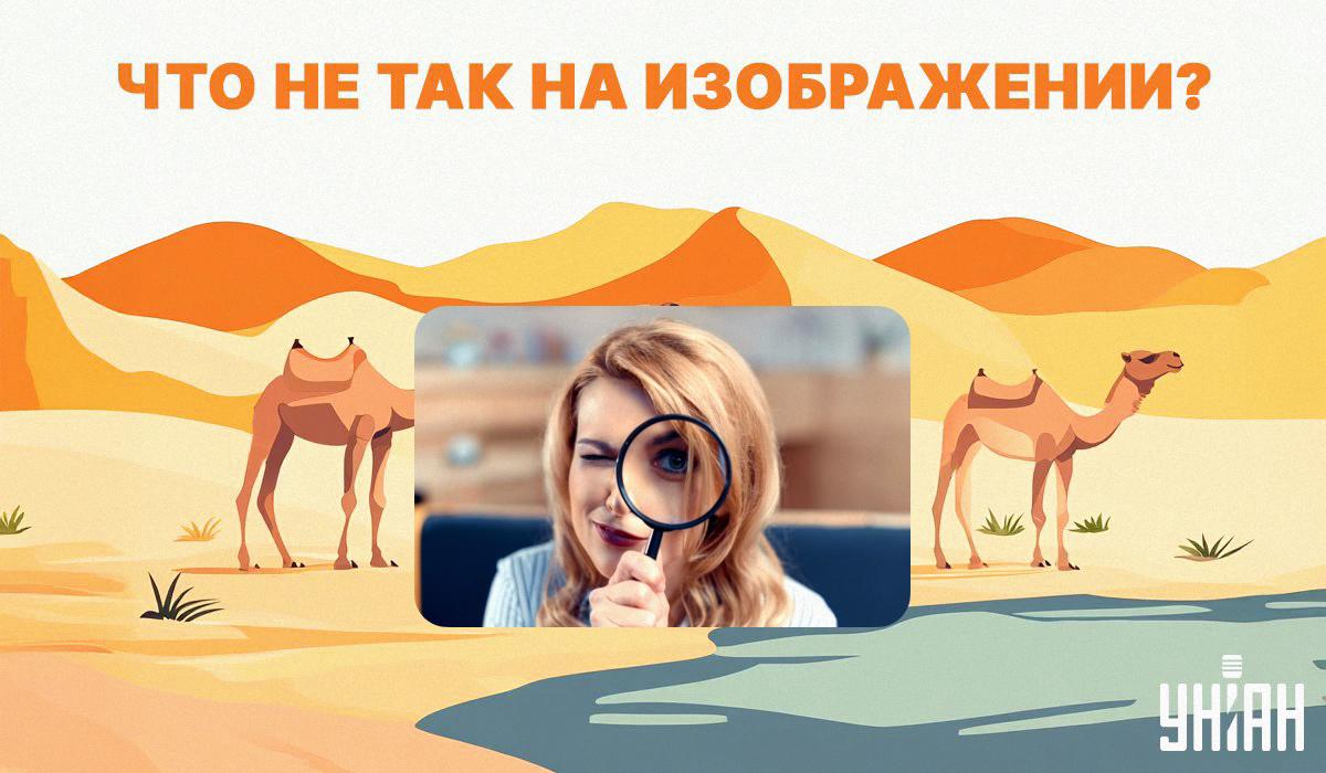 Проверьте, сможете ли вы определить, что не так на этом изображении / коллаж УНИАН, фото ua.depositphotos.com