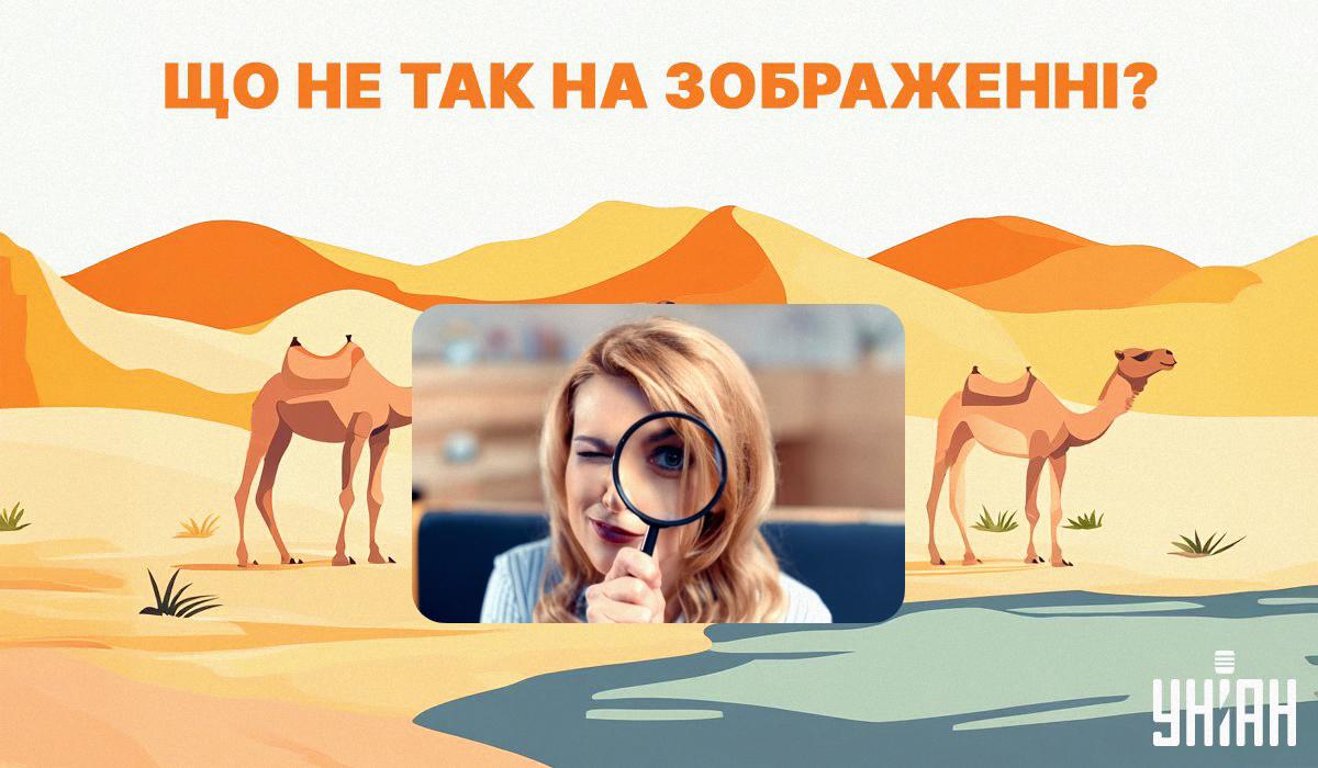 Перевірте, чи зможете ви визначити, що не так на цьому зображенні / колаж УНІАН, фото ua.depositphotos.com