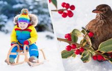 Какой народный праздник 3 декабря: почему сегодня нужно молчать