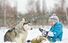 Не боятся даже крепчайших морозов: 10 пород собак для холодной погоды
