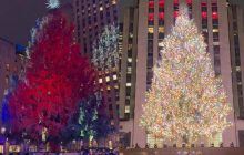 В Нью-Йорке зажгли самую известную рождественскую елку в мире: какая она в этом году (видео)