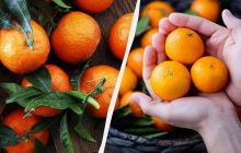 Даже очень кислые мандарины за 15 минут станут сладкими: вот что нужно сделать