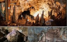 Таинственную скульптуру черепахи нашли в пещере Святой Земли спустя 35 000 лет: люди могли ей поклоняться