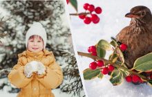 Какой праздник отмечаем 15 декабря: что нужно сделать перед сном