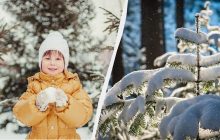 Что нельзя и что нужно сделать 17 декабря 2024: важная примета для родителей