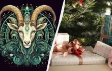 Что подарить Козерогу на Новый год 2025: 15 идей, которые точно понравятся