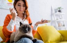 Сколько времени нужно кошке, чтобы забыть человека: объяснение экспертов
