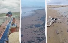 Крушение танкеров РФ в Черном море: тонны мазута прибило на "Жемчужину России" (видео)