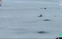 За три дня до 100 убитых и раненых: в ССО показали, как уничтожают солдат КНДР (видео)