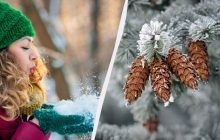 Що можна і не можна робити 20 грудня 2024: яку страву потрібно з'їсти на удачу