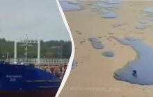 "Не уявляємо всієї біди": еколог про наслідки аварії танкерів РФ у Керченській протоці