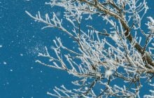 14 січня замети в Україні стануть ще більшими: де сніжитиме