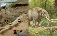 Жили з мастодонтами: вчені зробили важливе відкриття про прибуття перших людей в Америку