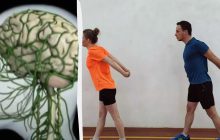 Як впливають фізичні вправи на мозок людини: вчені розкрили секрет