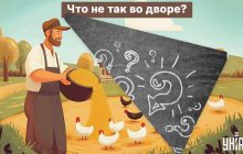 Нужно найти большую ошибку в сельском дворе за 5 секунд: забавный тест для проверки IQ