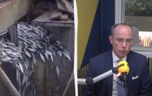 РФ заробляє на продажу риби 7 мільярдів євро на рік, - консул України в Нідерландах