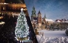 Елку в Польше признали самой красивой в мире: в чем ее особенность