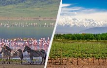 Від сафарі до вина: Lonely Planet розповів, куди варто поїхати в лютому 2025 року