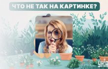 Надо найти смешную ошибку на картинке: очень простой тест для проверки уровня IQ