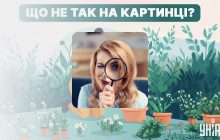 Треба знайти смішну помилку на картинці: дуже простий тест для перевірки рівня IQ