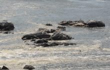 Окупанти намагаються висадитися на один із найбільших островів у гирлі Дніпра