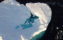 Невероятная история: полярники показали, как тюлень спасся от кровожадных хищников