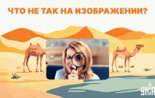 Видите ли вы ошибку в пустыне: увлекательный тест для проверки интеллекта за 5 секунд