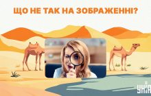 Чи бачите ви помилку в пустелі: захопливий тест для перевірки інтелекту за 5 секунд