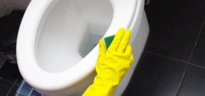 Багаторічний наліт просто "змився" з унітазу: допомогла домашня суміш із 3 речовин