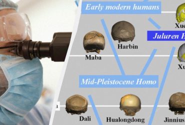Мають величезні голови: в Азії знайшли раніше невідомий вид людини