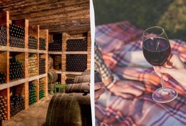 Скільки зберігається вино після відкриття: експерт дав пояснення для кожного виду